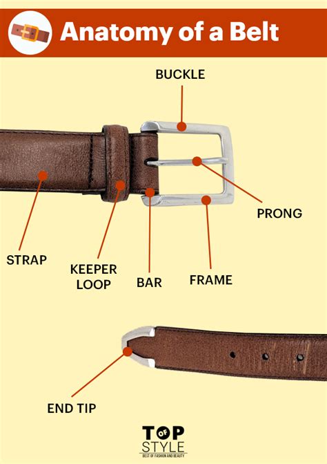 parts of a belt called.